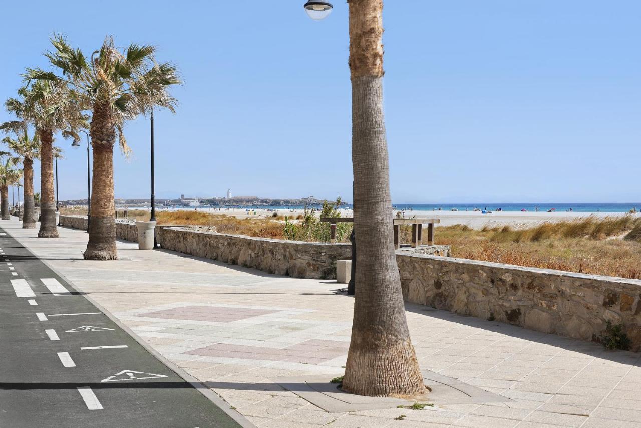 타리파 La Tortuga Playa 아파트 외부 사진